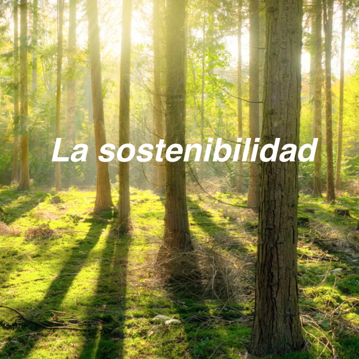 Plastico? RAFESA responde en el Cosmetorium e-connecting