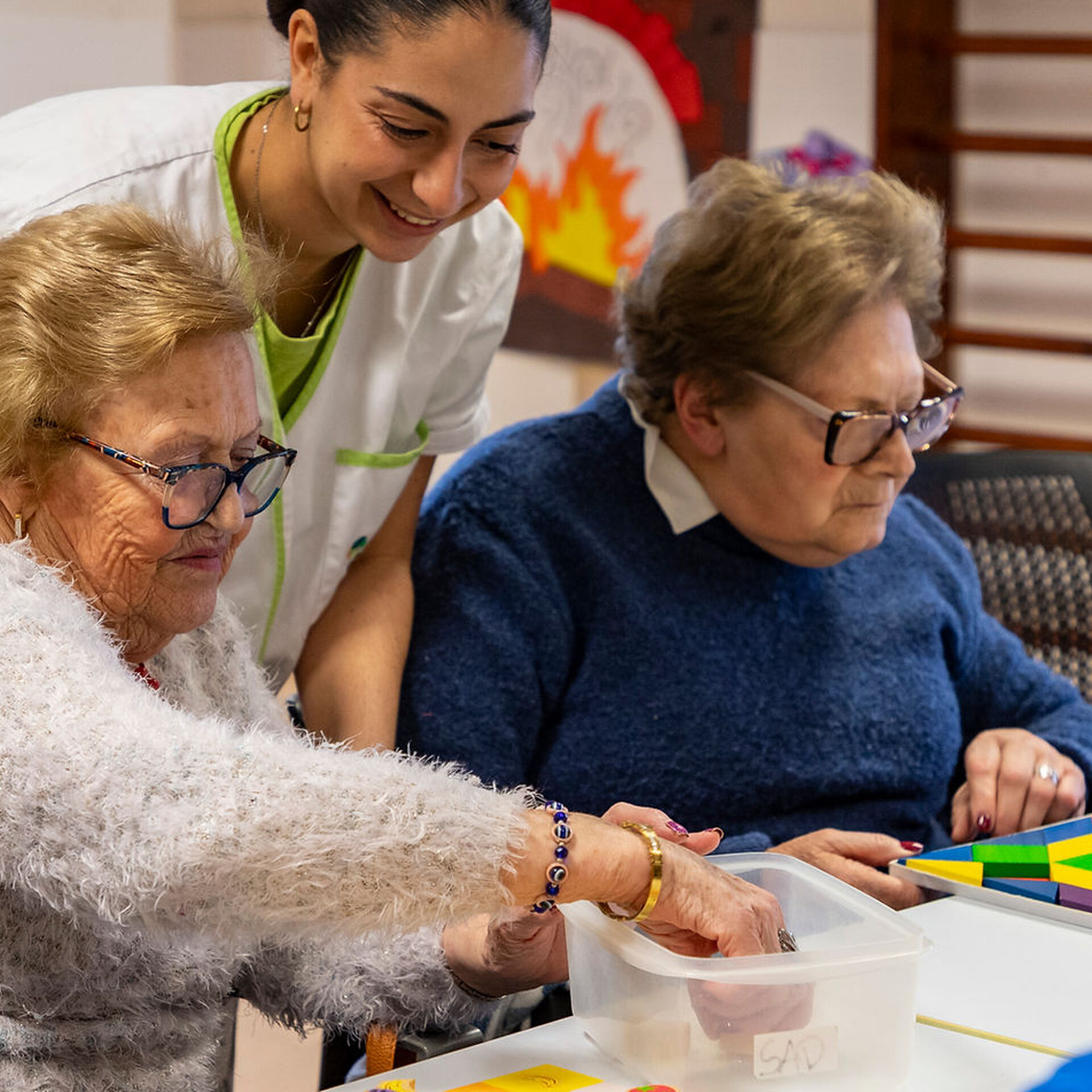 ¿Qué es AVAN y su labor en el Vallès?