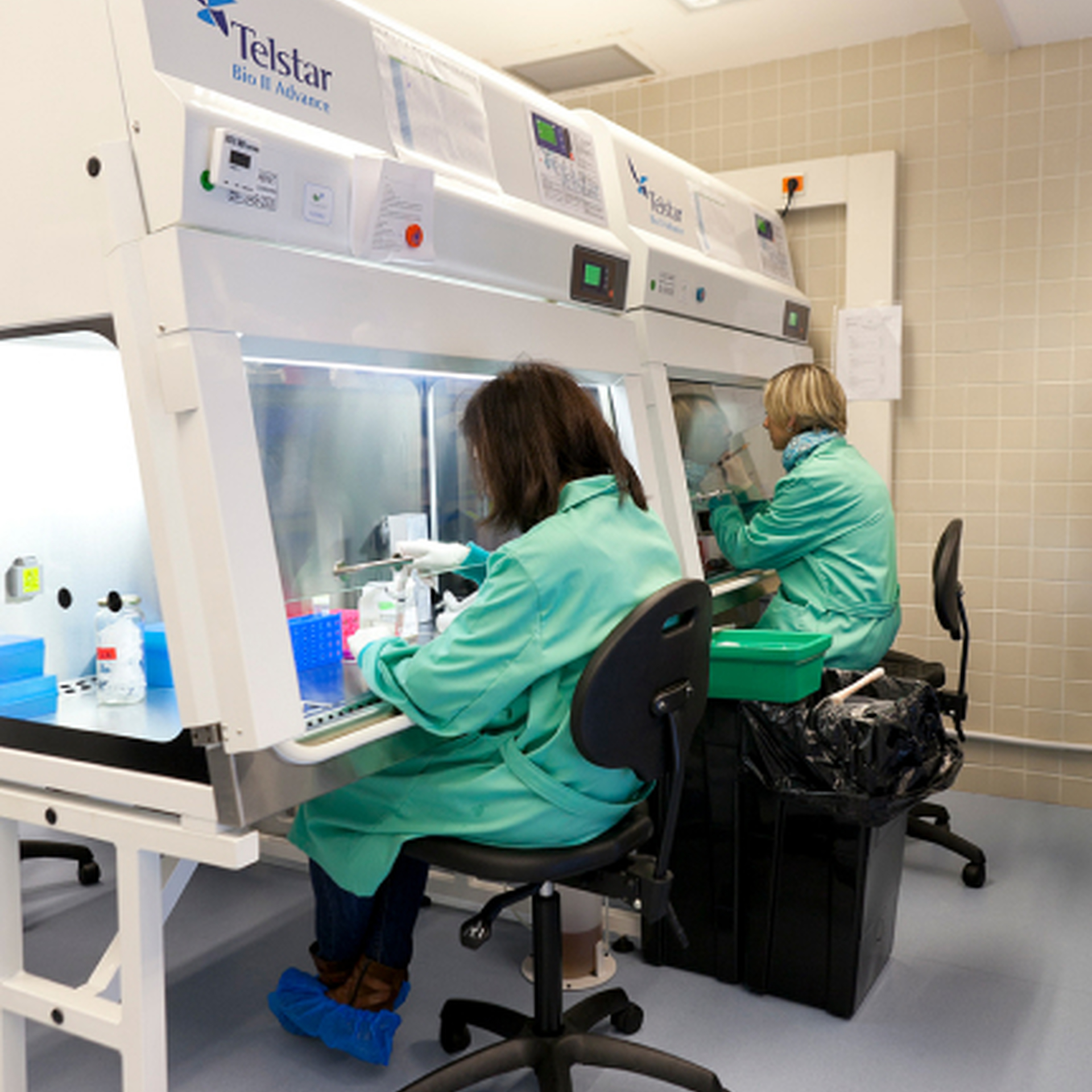 ¿Cómo colabora RAFESA?